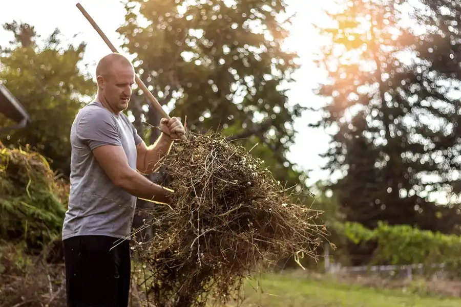 Reliable Yard Cleanup Yard Cleanup